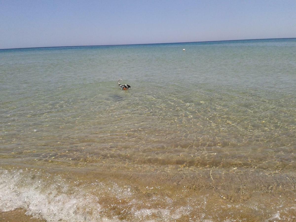 Profumo Di Mare Fronte Spiaggia Lido di Noto Exterior photo